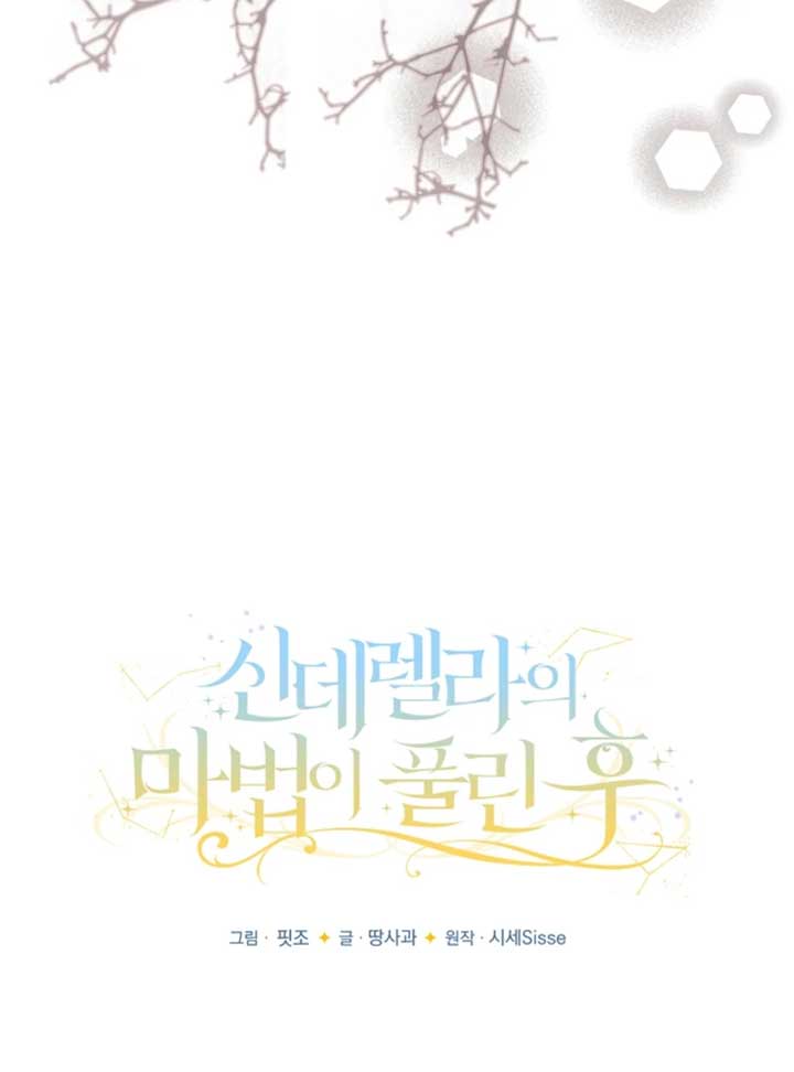 When Cinderella’s Magic Fades Away Chapter 71 - Page 48