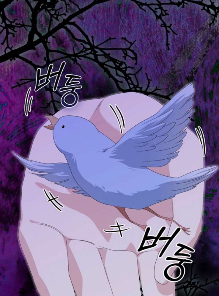 When Cinderella’s Magic Fades Away Chapter 75 - Page 143