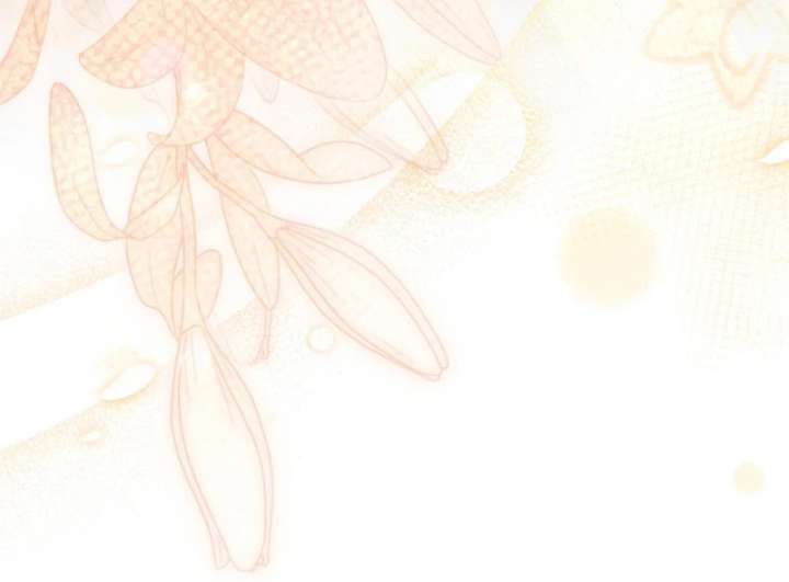 When Cinderella’s Magic Fades Away Chapter 75 - Page 49