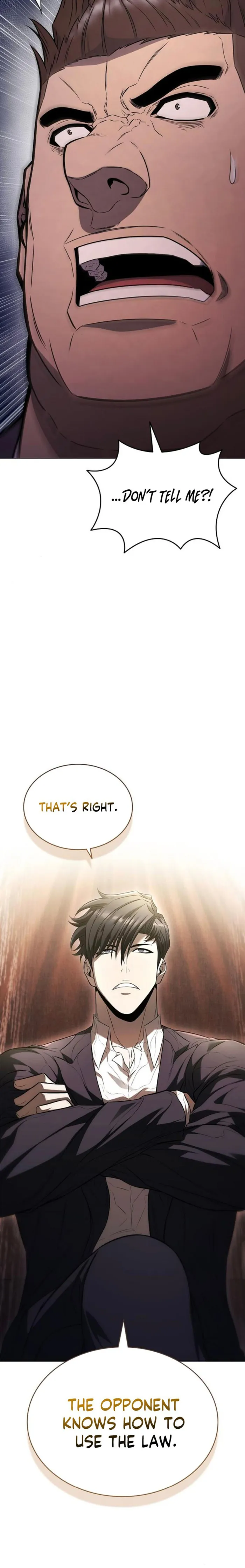 The Former Mercenary’s Life as a Prosecutor Chapter 5 - Page 17