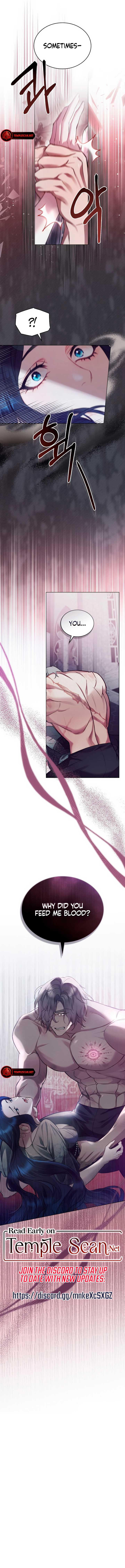 The Princess’s Bedchamber Toy Chapter 3 - Page 9