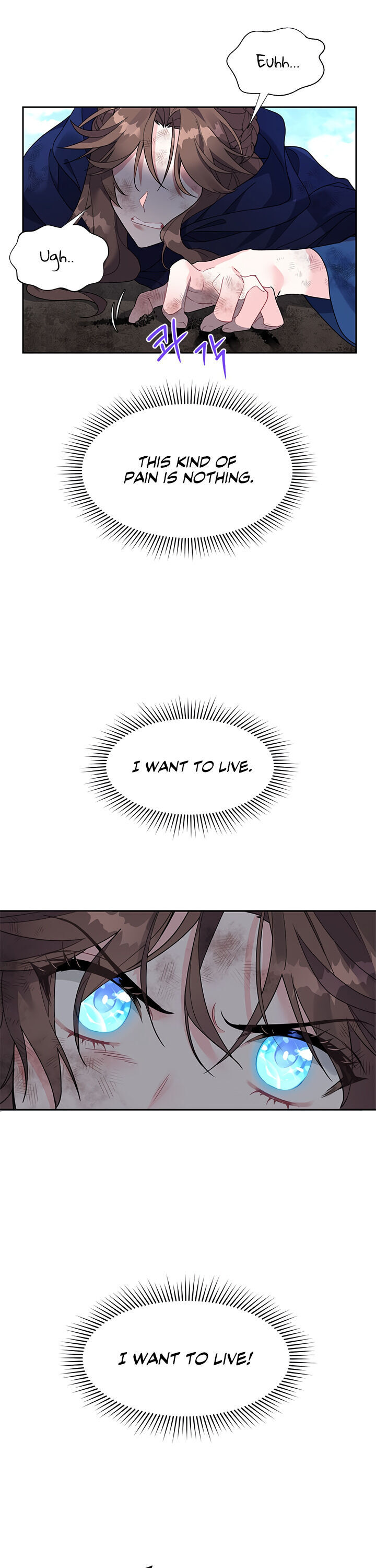 Cavier Falcon Princess Chapter 1 - Page 14