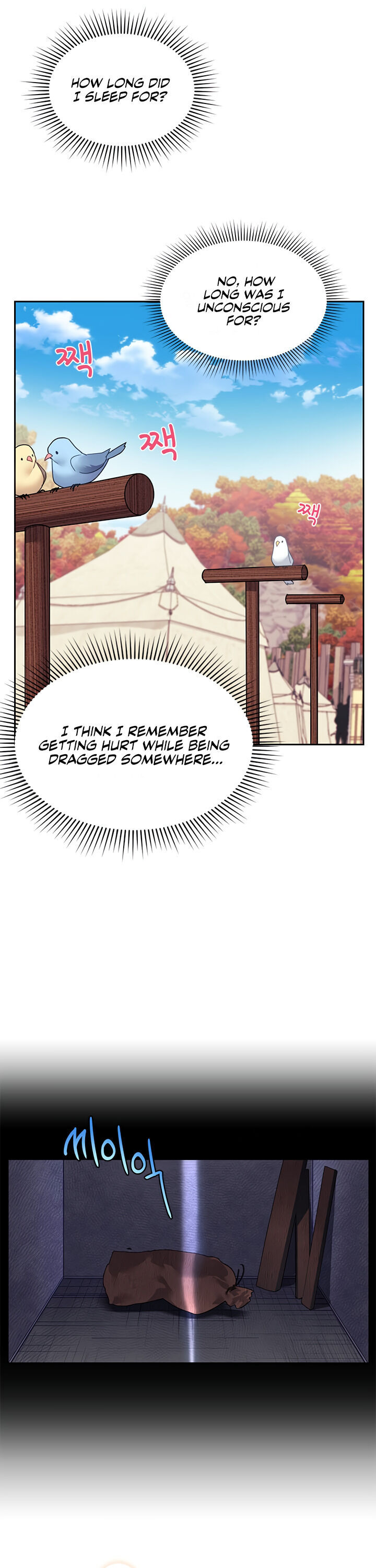 Cavier Falcon Princess Chapter 1 - Page 18