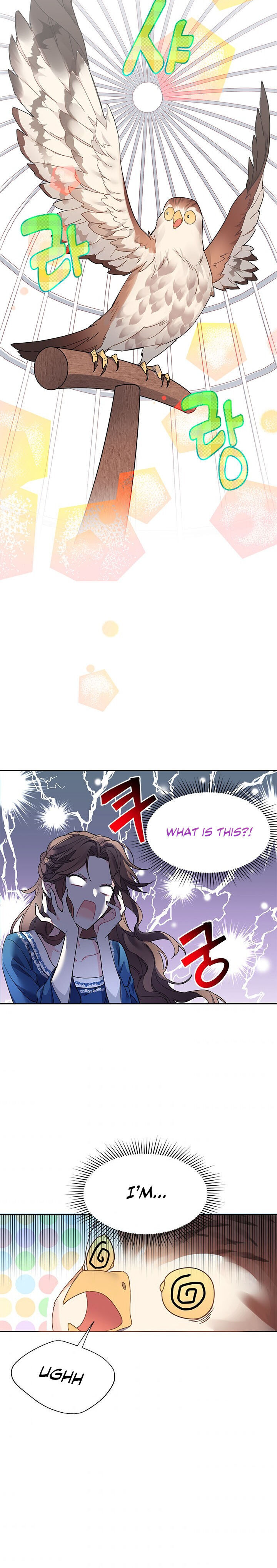 Cavier Falcon Princess Chapter 1 - Page 23