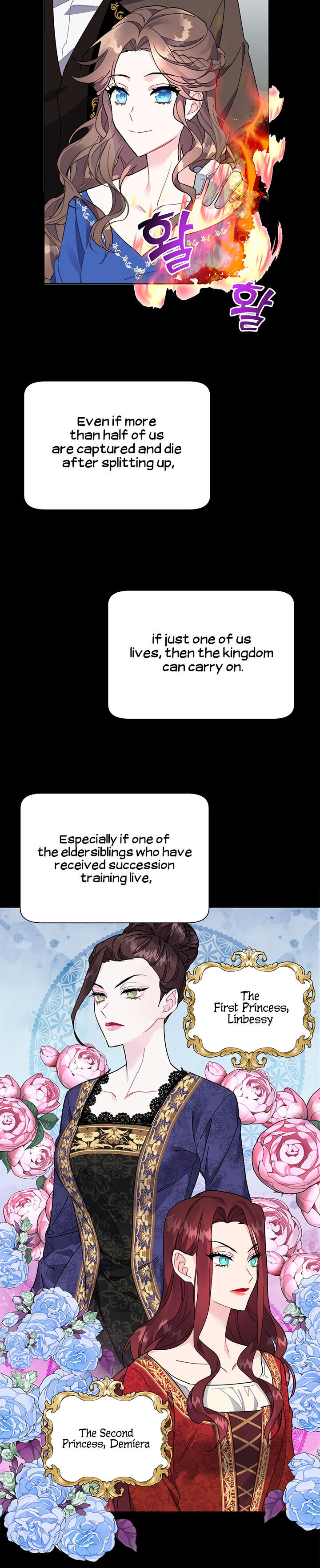 Cavier Falcon Princess Chapter 1 - Page 9