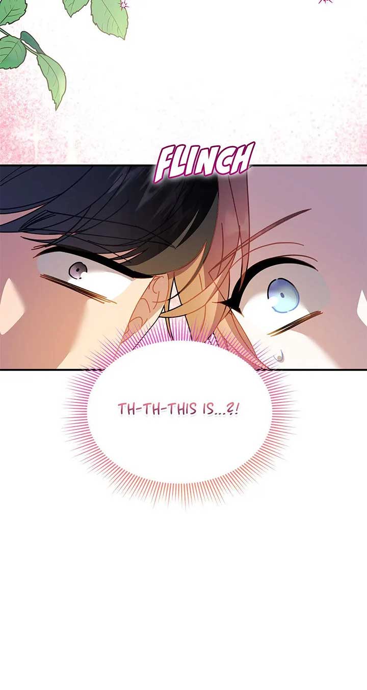 Cavier Falcon Princess Chapter 103 - Page 27