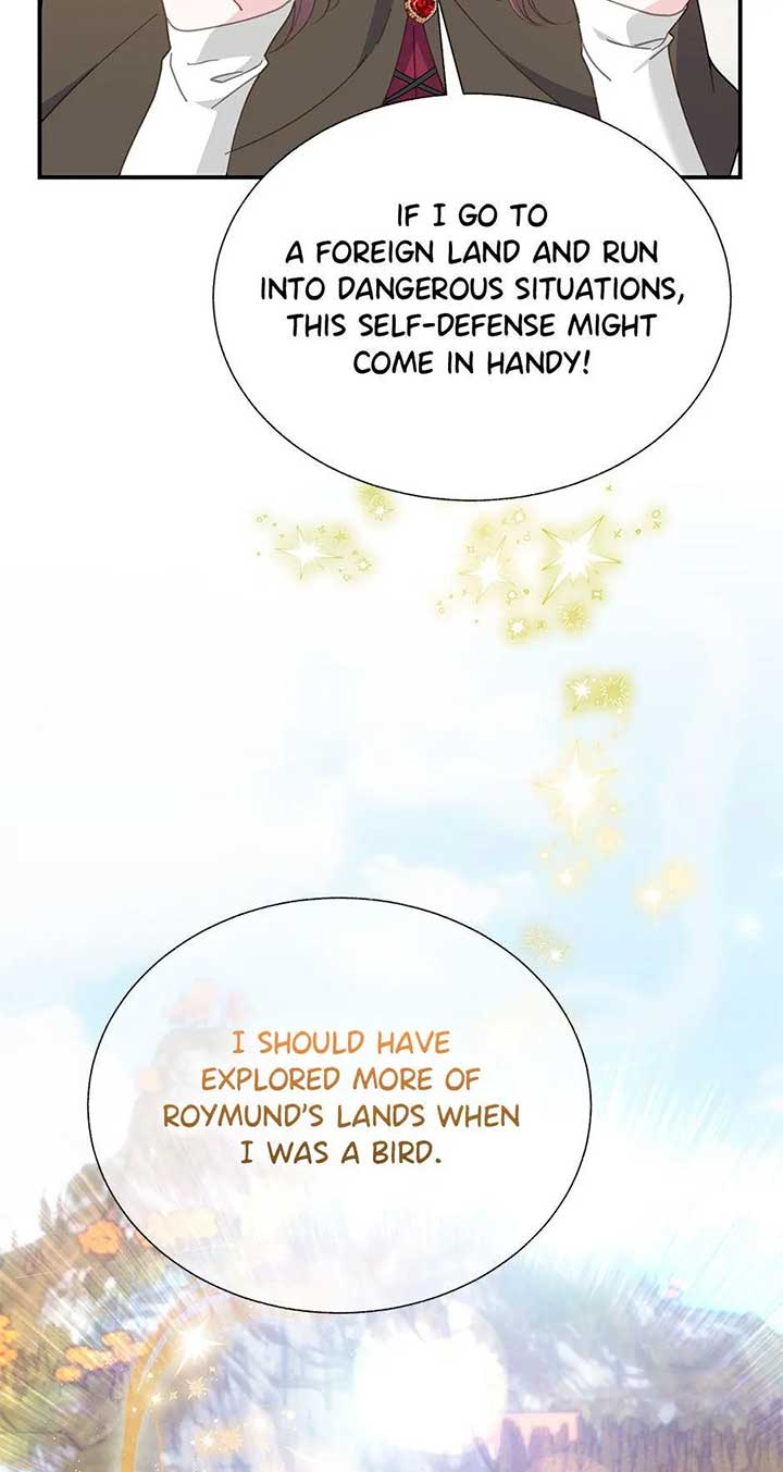 Cavier Falcon Princess Chapter 103 - Page 3