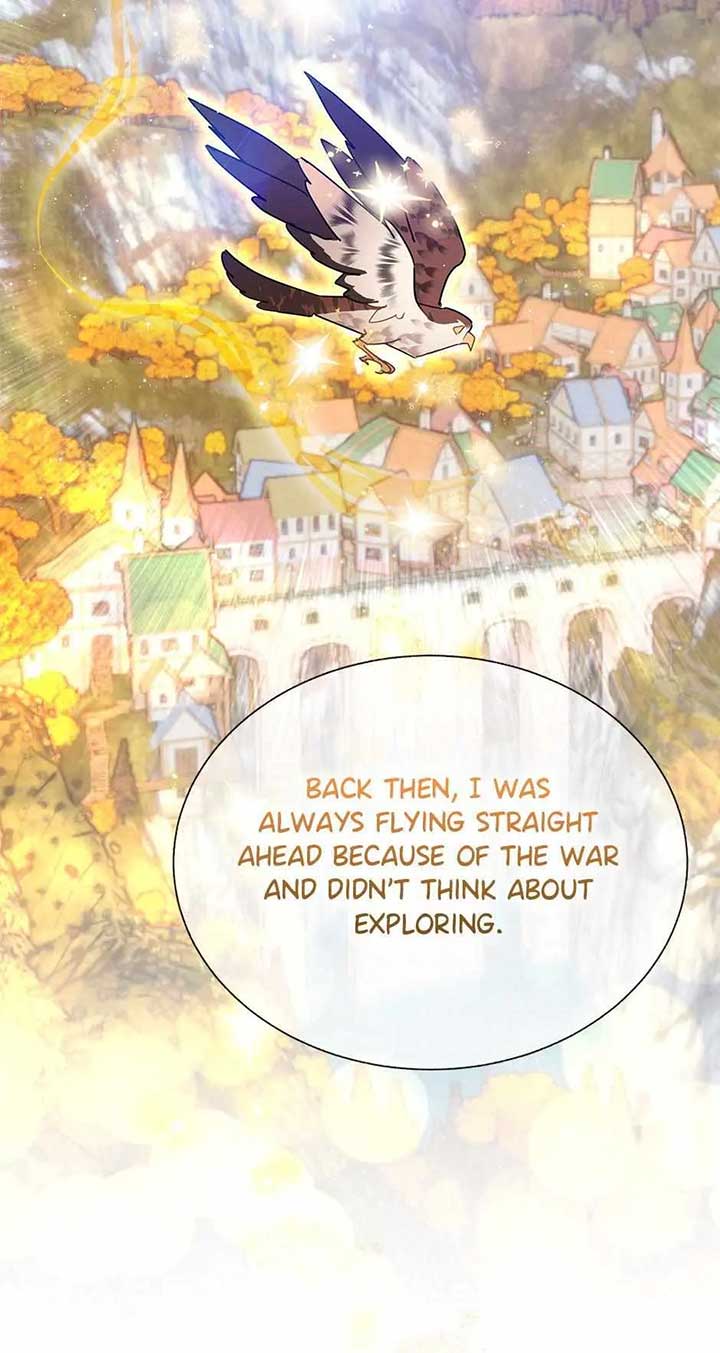 Cavier Falcon Princess Chapter 103 - Page 4