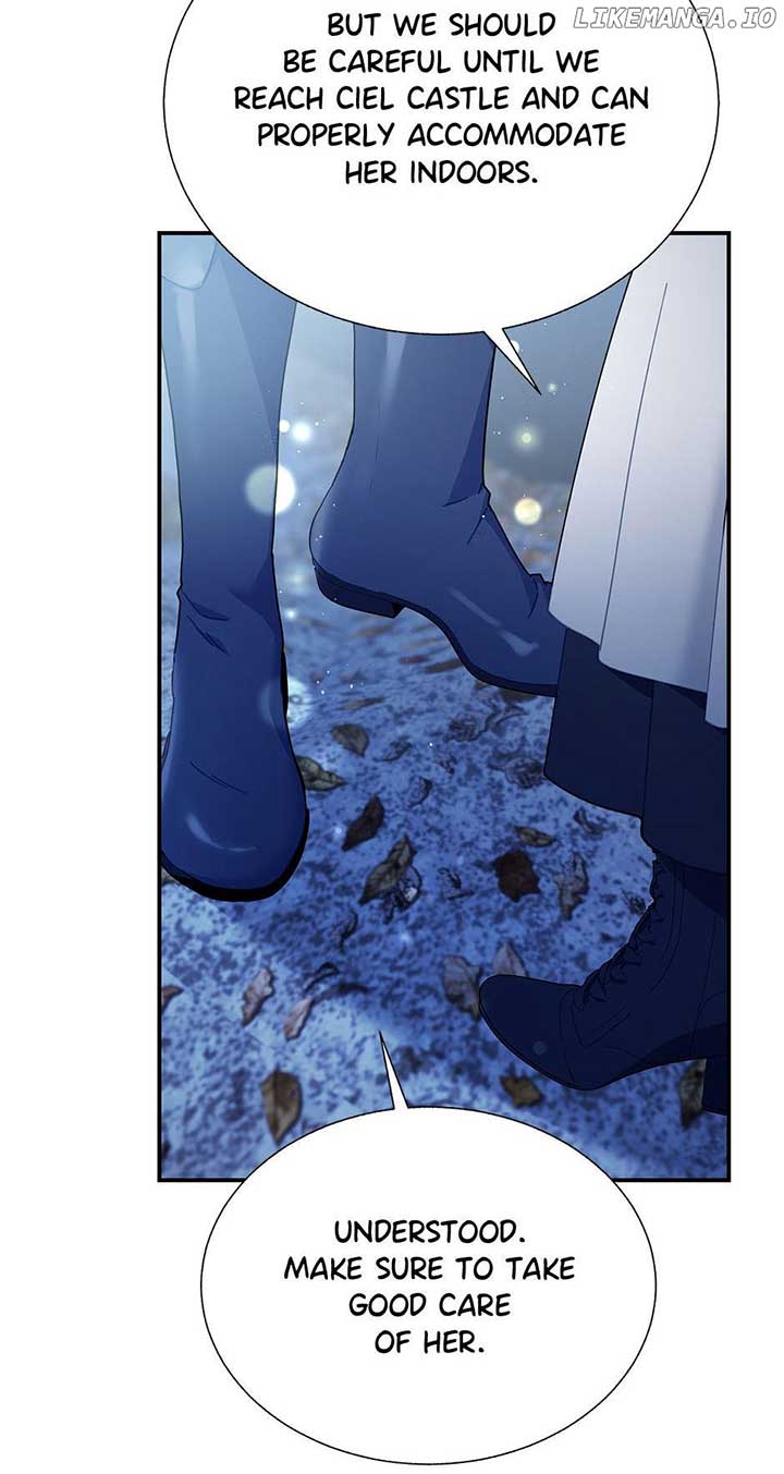Cavier Falcon Princess Chapter 105 - Page 11