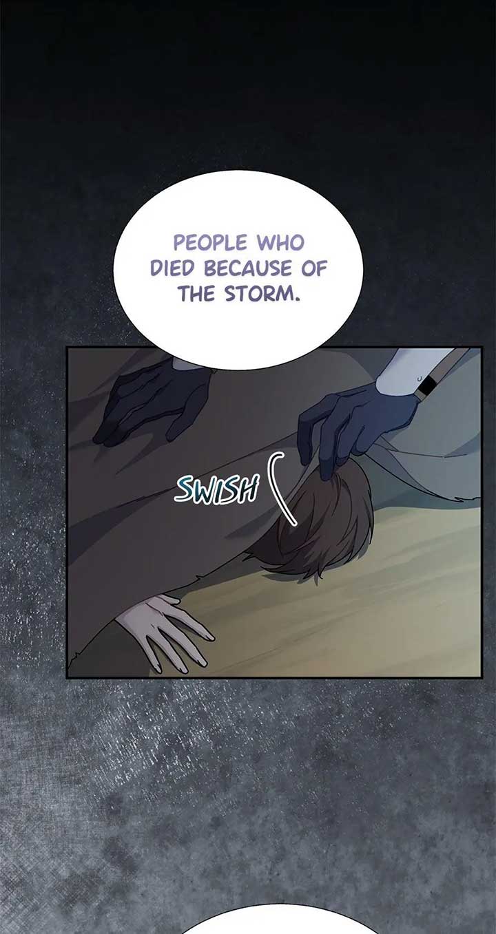 Cavier Falcon Princess Chapter 106 - Page 28