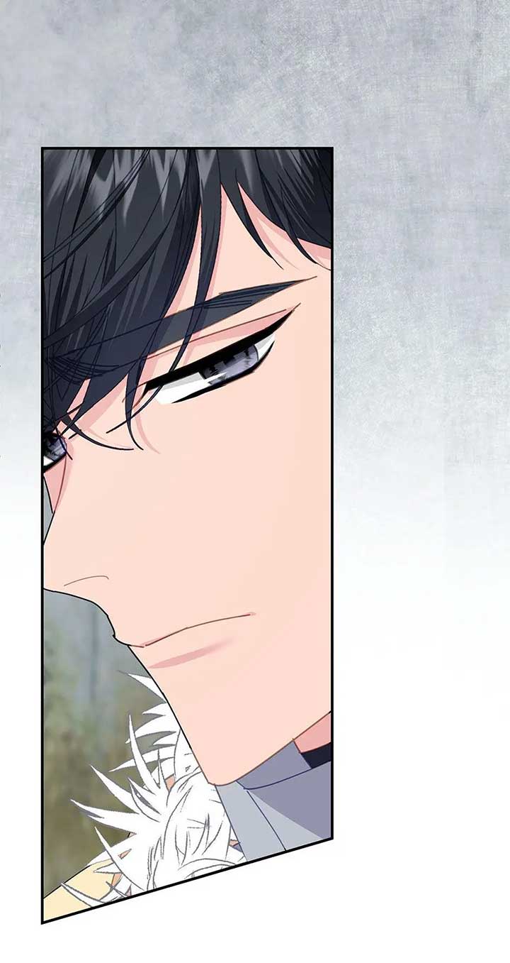 Cavier Falcon Princess Chapter 106 - Page 32