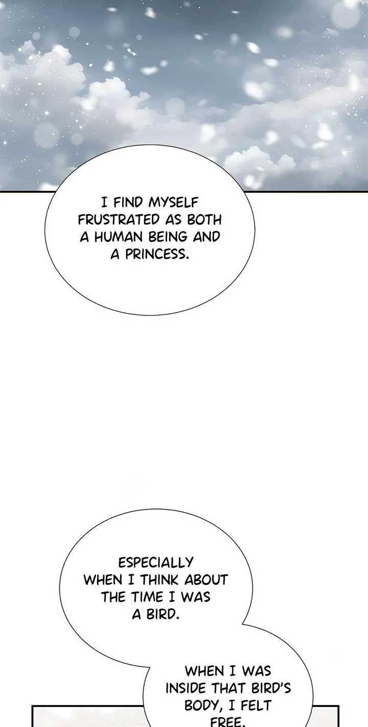 Cavier Falcon Princess Chapter 106 - Page 36