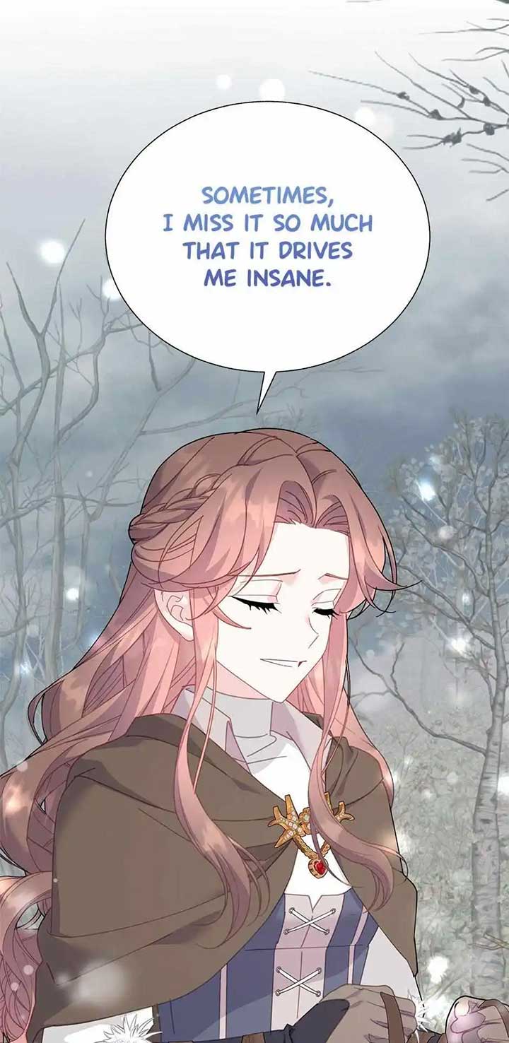 Cavier Falcon Princess Chapter 106 - Page 40