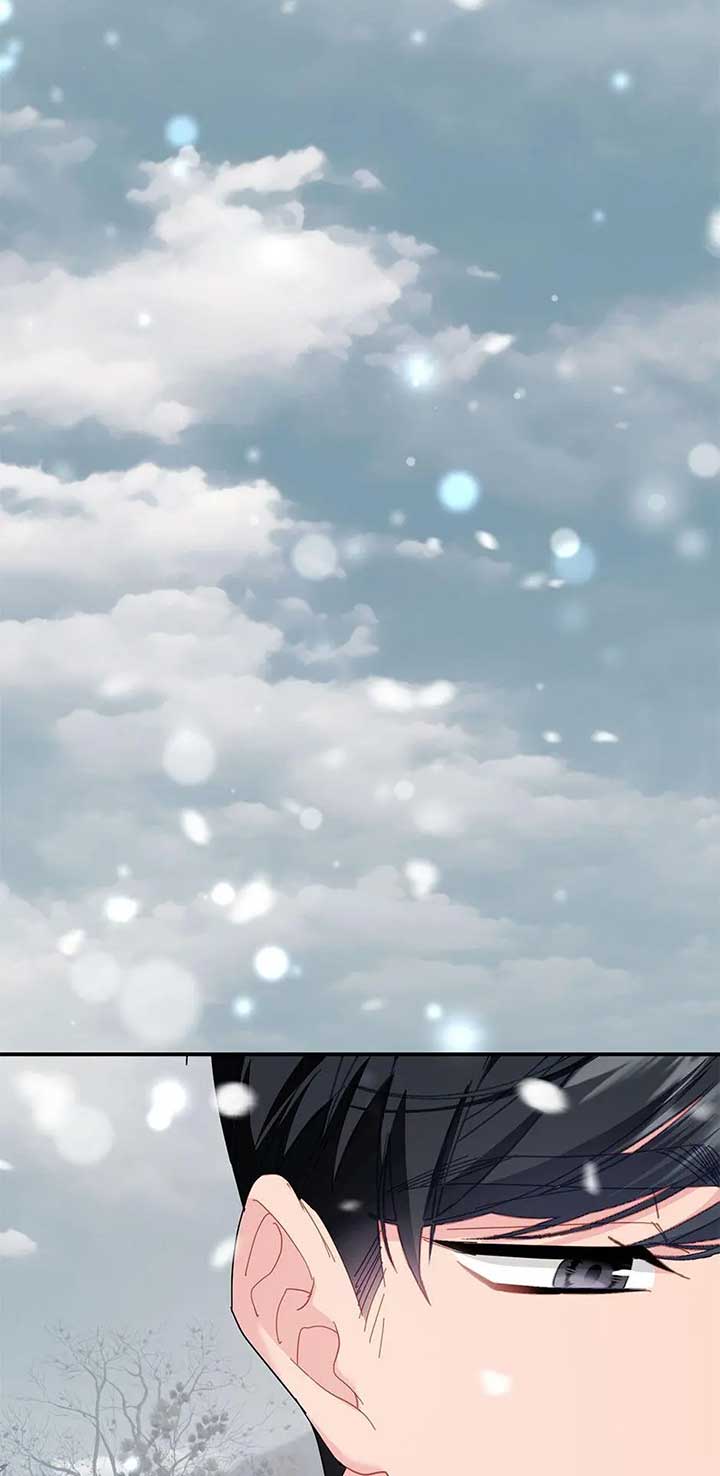 Cavier Falcon Princess Chapter 106 - Page 42