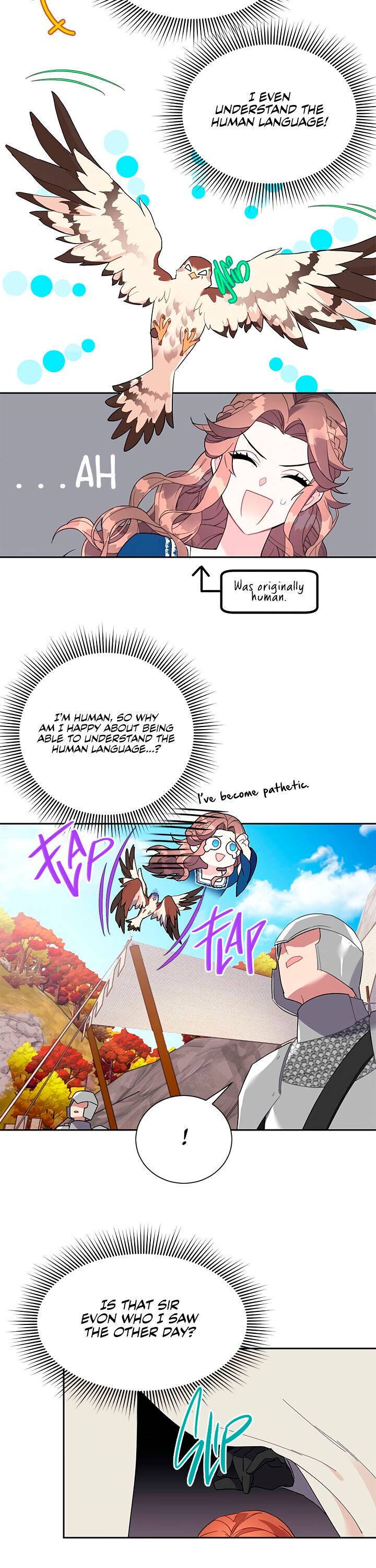 Cavier Falcon Princess Chapter 11 - Page 2