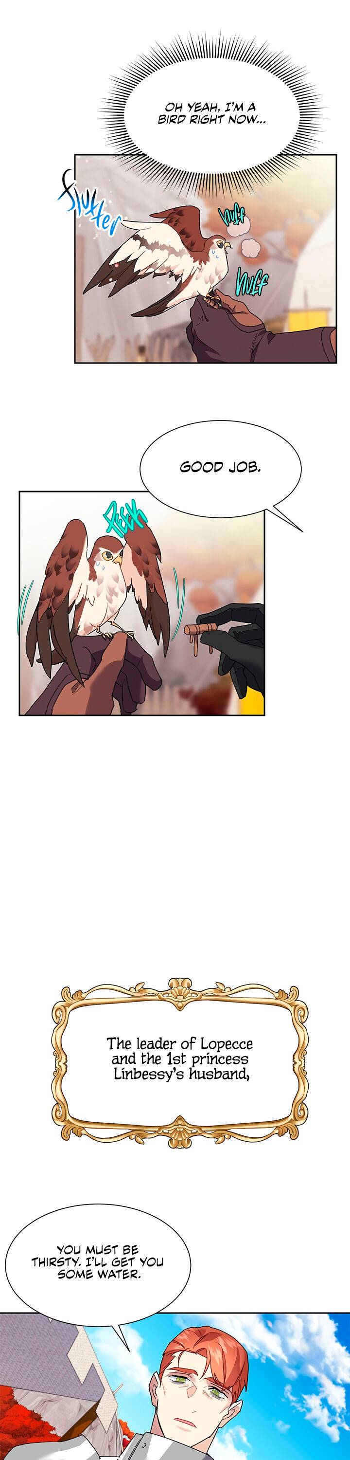 Cavier Falcon Princess Chapter 11 - Page 4