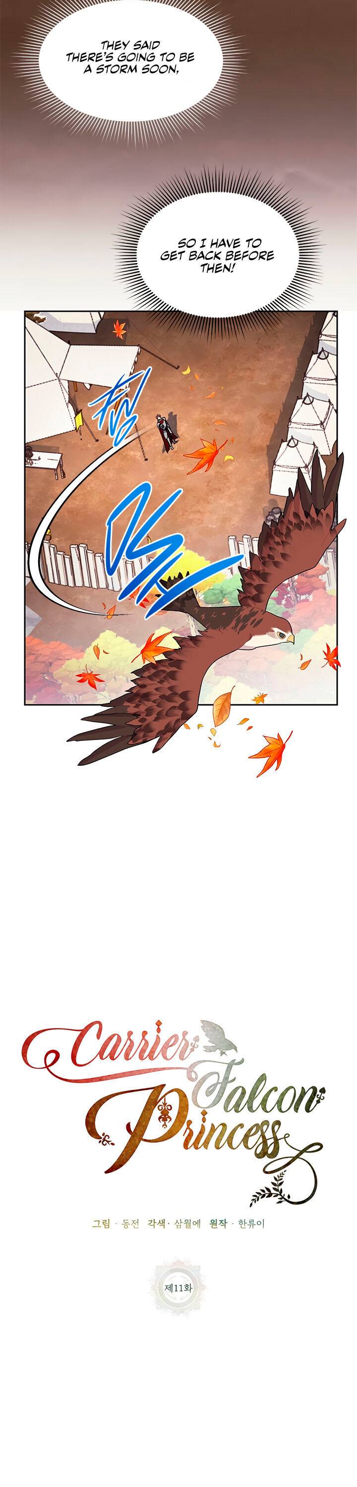 Cavier Falcon Princess Chapter 11 - Page 7