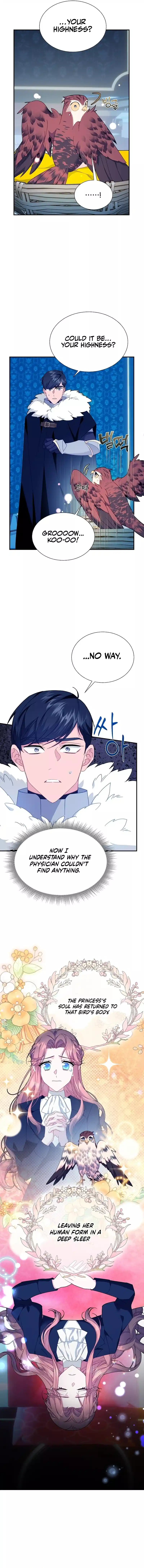 Cavier Falcon Princess Chapter 110 - Page 5