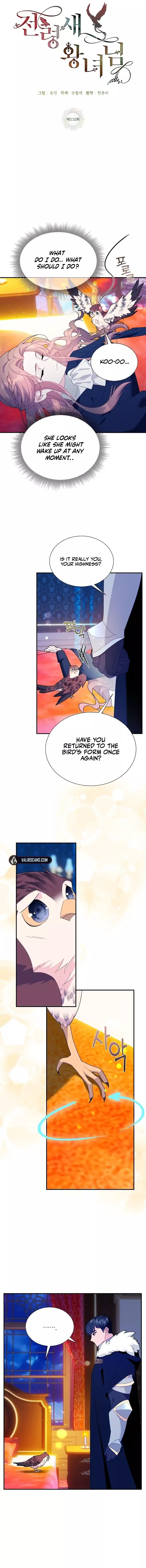 Cavier Falcon Princess Chapter 110 - Page 7