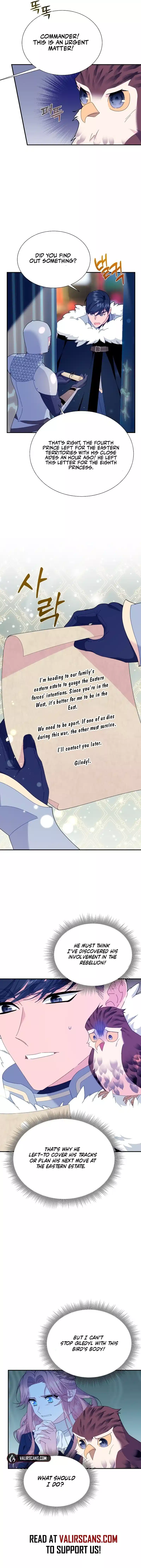 Cavier Falcon Princess Chapter 110 - Page 8