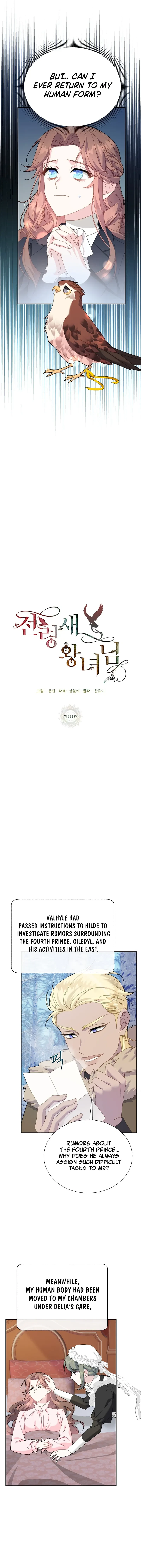 Cavier Falcon Princess Chapter 111 - Page 10
