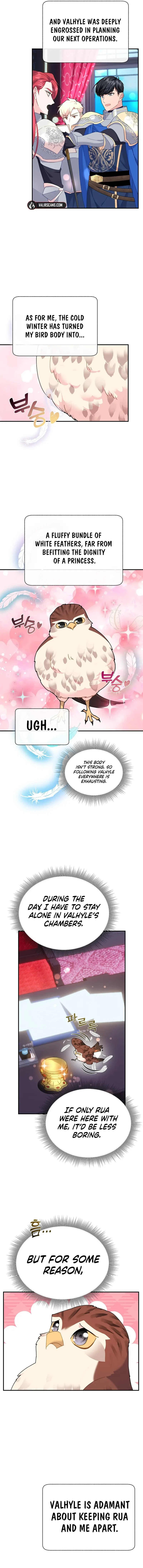 Cavier Falcon Princess Chapter 111 - Page 11