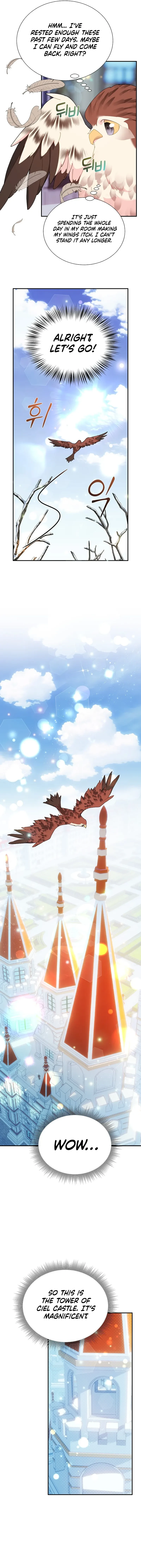 Cavier Falcon Princess Chapter 111 - Page 13