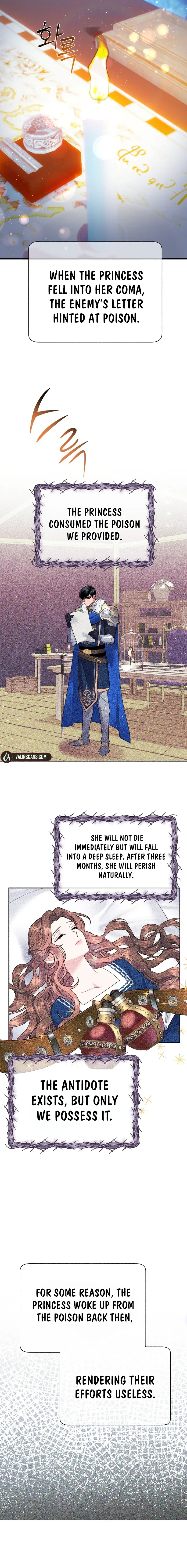 Cavier Falcon Princess Chapter 113 - Page 11