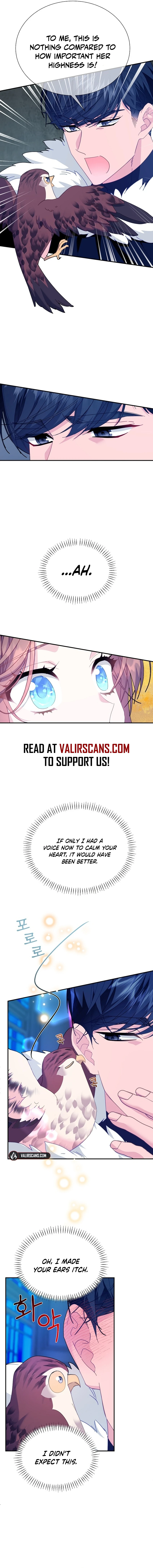 Cavier Falcon Princess Chapter 115 - Page 10