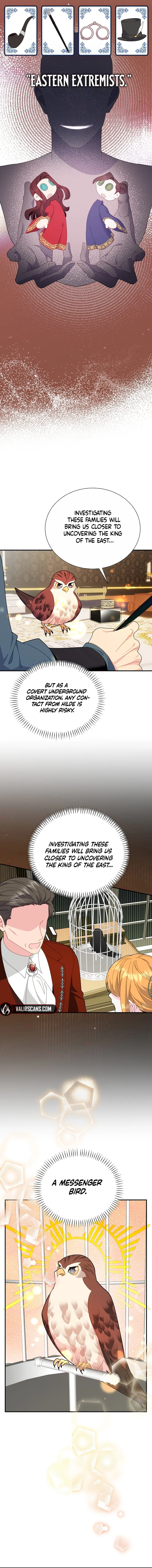 Cavier Falcon Princess Chapter 118 - Page 9