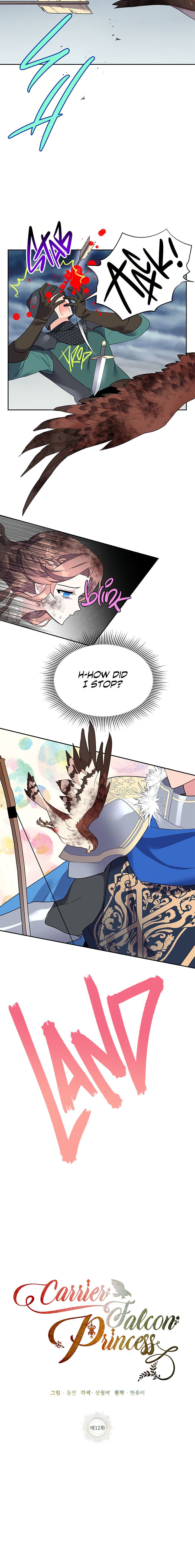 Cavier Falcon Princess Chapter 12 - Page 10