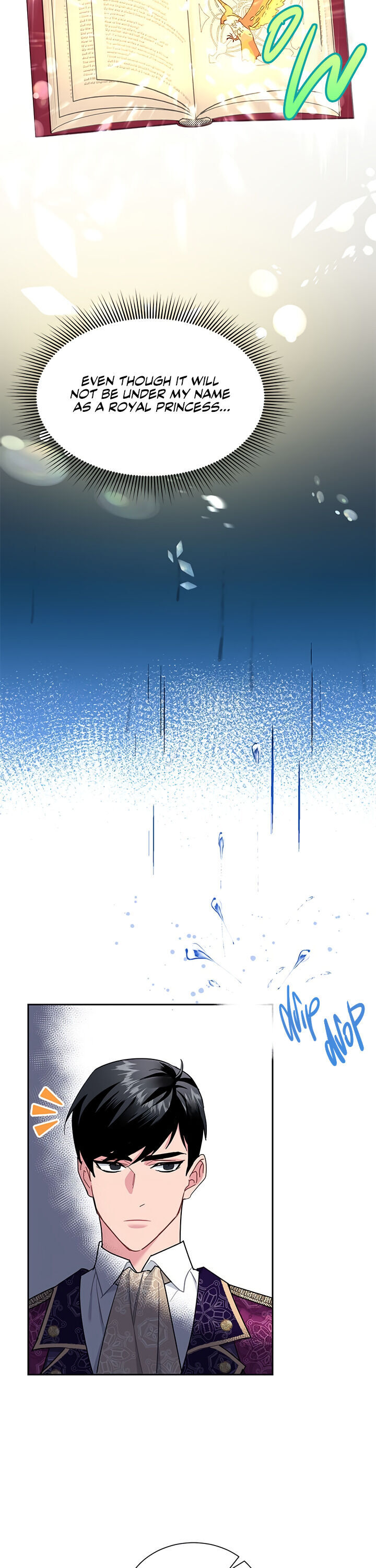 Cavier Falcon Princess Chapter 13 - Page 10