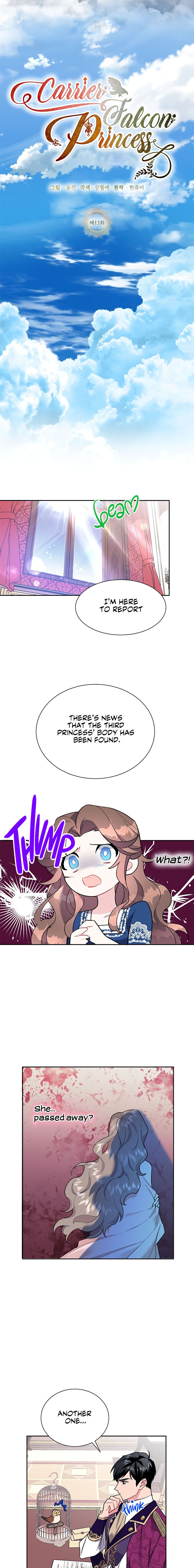 Cavier Falcon Princess Chapter 13 - Page 13