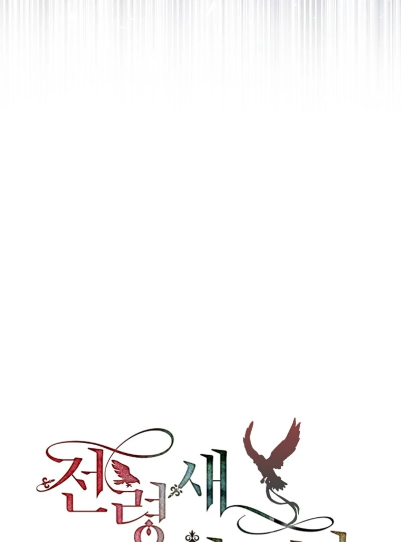 Cavier Falcon Princess Chapter 130 - Page 38