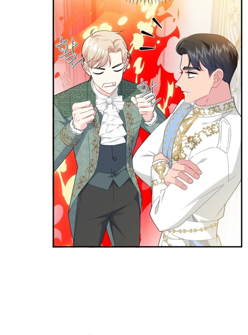 Cavier Falcon Princess Chapter 132 - Page 19