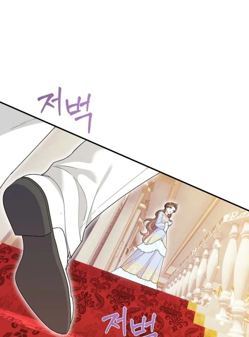 Cavier Falcon Princess Chapter 132 - Page 25