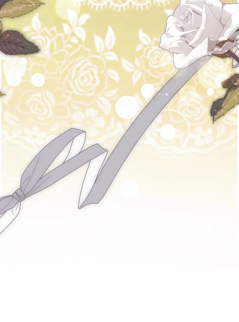 Cavier Falcon Princess Chapter 132 - Page 31