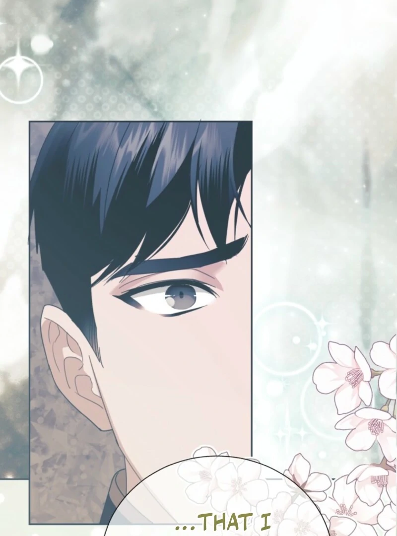 Cavier Falcon Princess Chapter 133 - Page 28