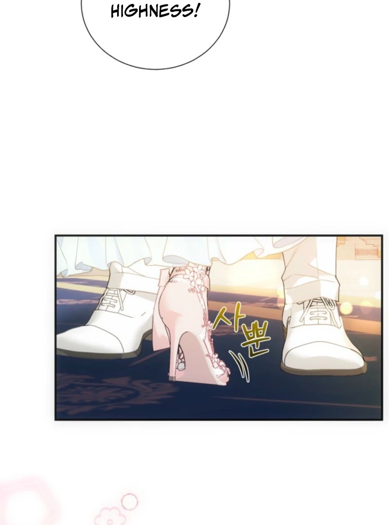 Cavier Falcon Princess Chapter 133 - Page 71