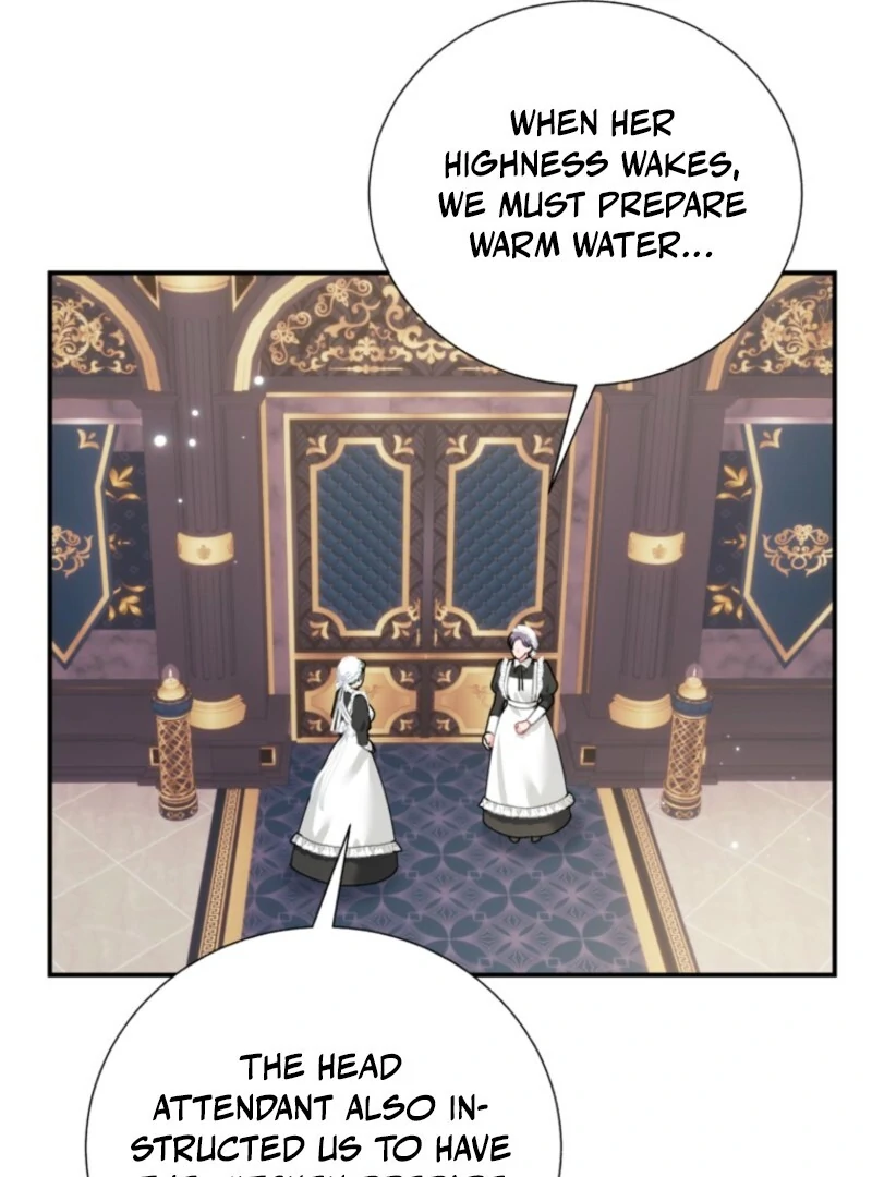 Cavier Falcon Princess Chapter 133 - Page 80