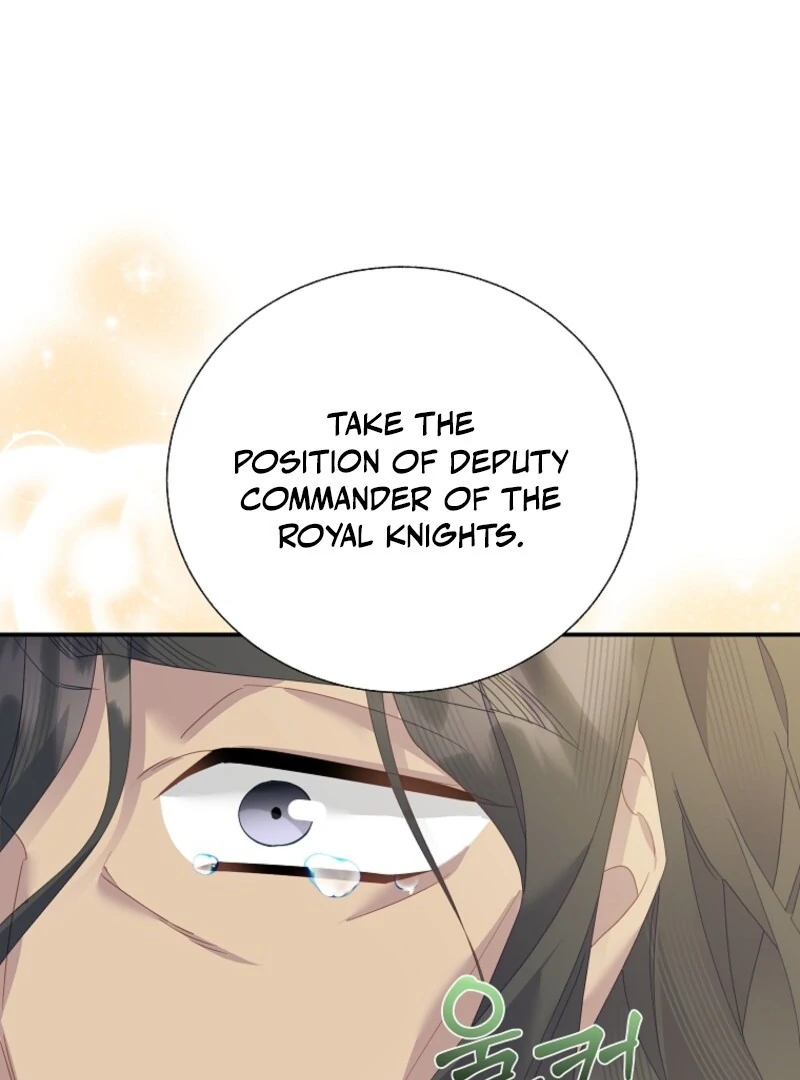 Cavier Falcon Princess Chapter 134 - Page 40