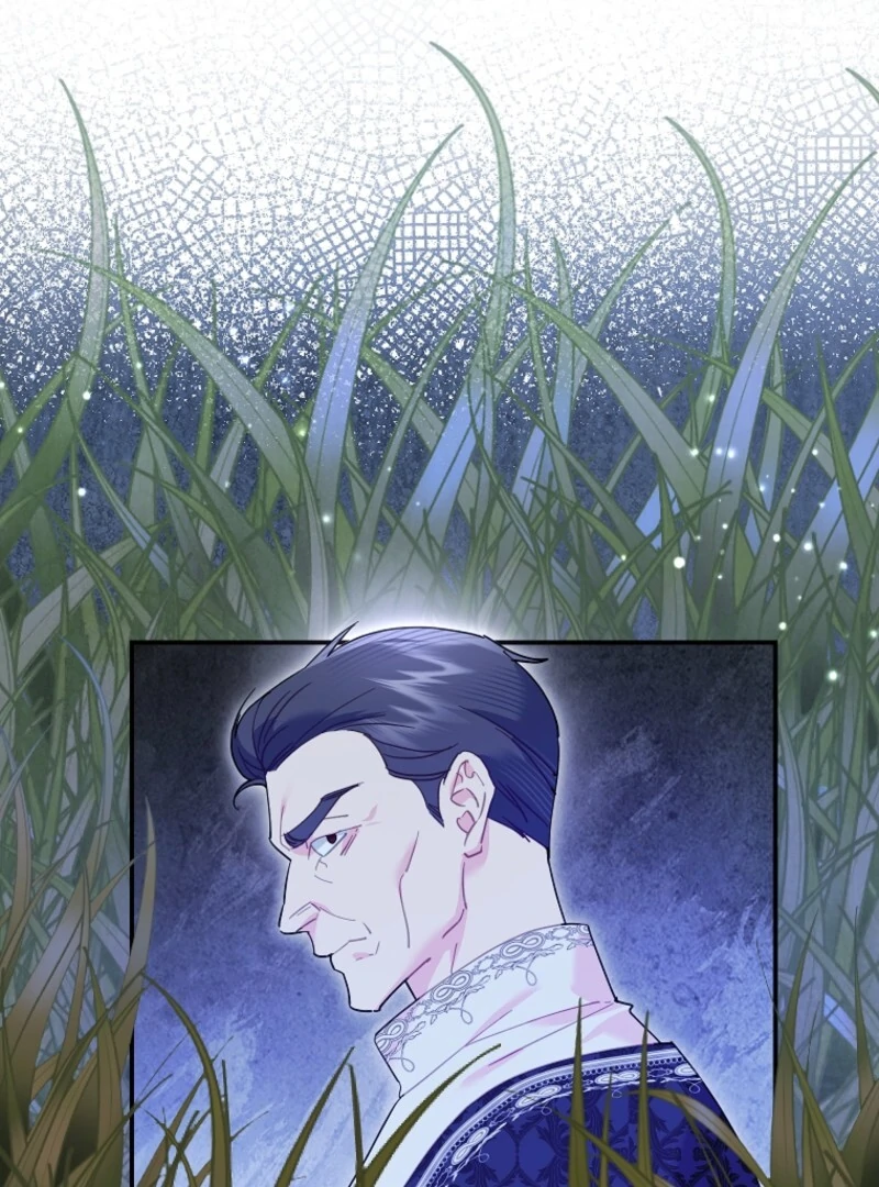 Cavier Falcon Princess Chapter 136 - Page 17