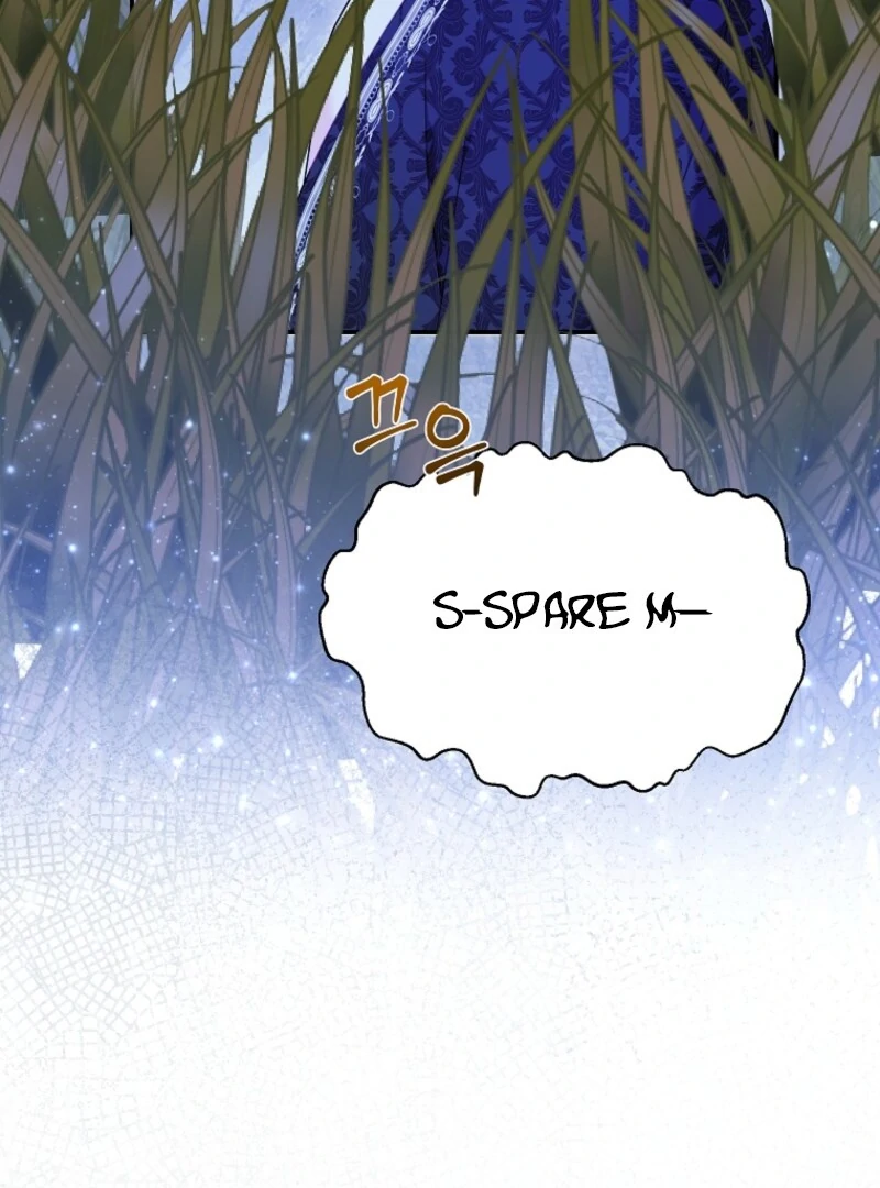 Cavier Falcon Princess Chapter 136 - Page 18