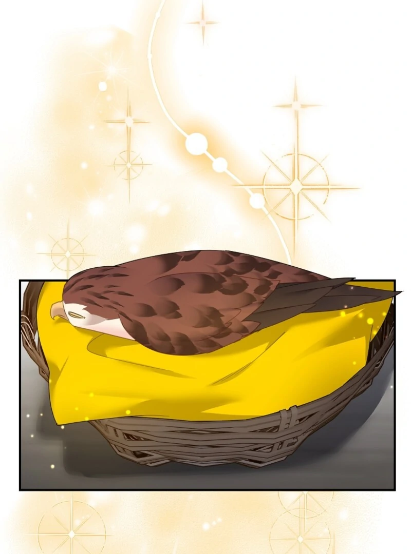 Cavier Falcon Princess Chapter 136 - Page 5