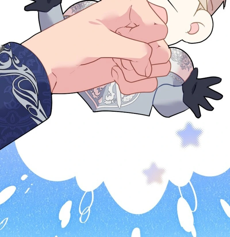 Cavier Falcon Princess Chapter 137 - Page 27