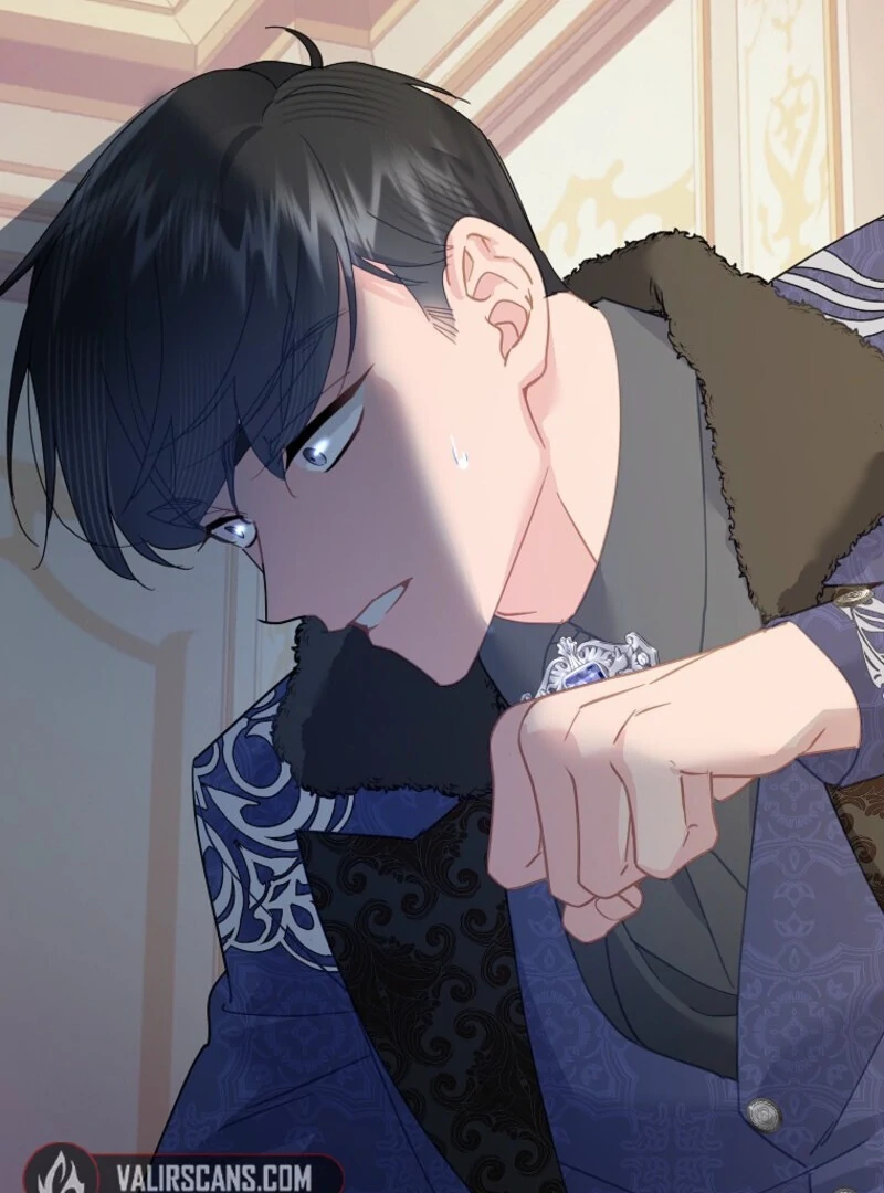 Cavier Falcon Princess Chapter 137 - Page 29