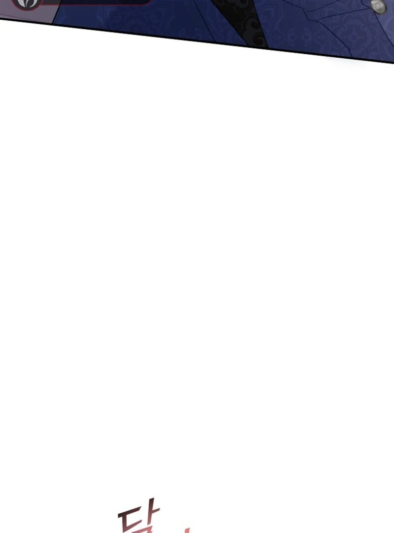 Cavier Falcon Princess Chapter 137 - Page 30