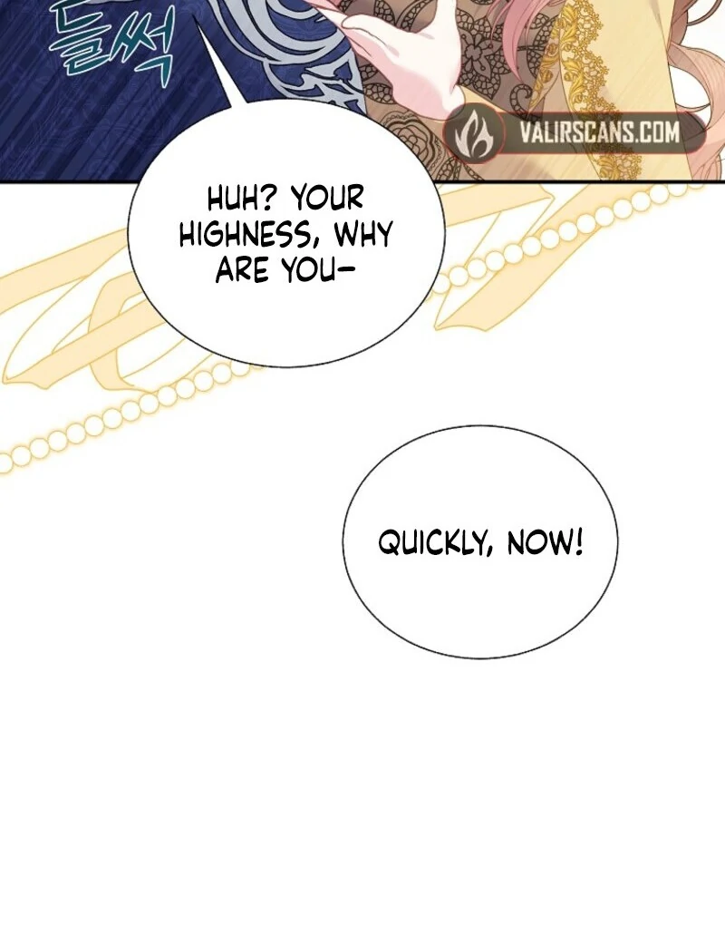 Cavier Falcon Princess Chapter 137 - Page 42