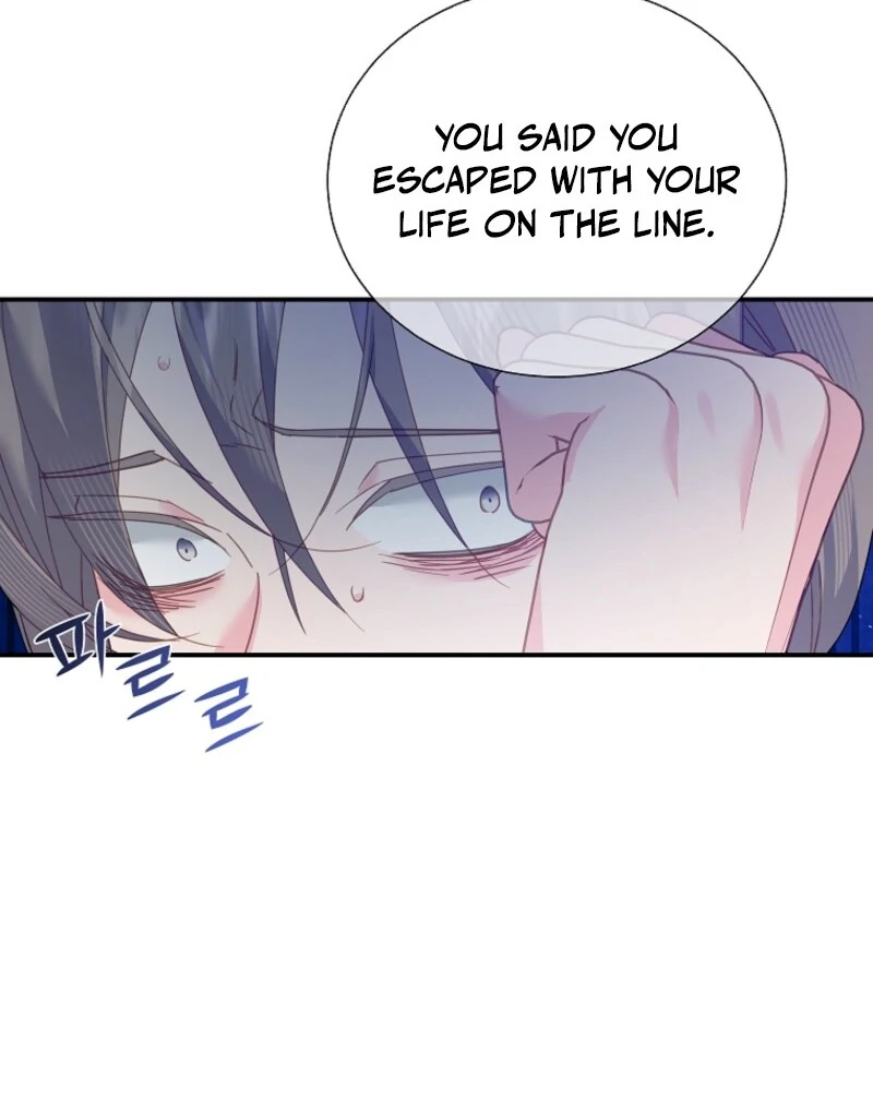 Cavier Falcon Princess Chapter 138 - Page 95
