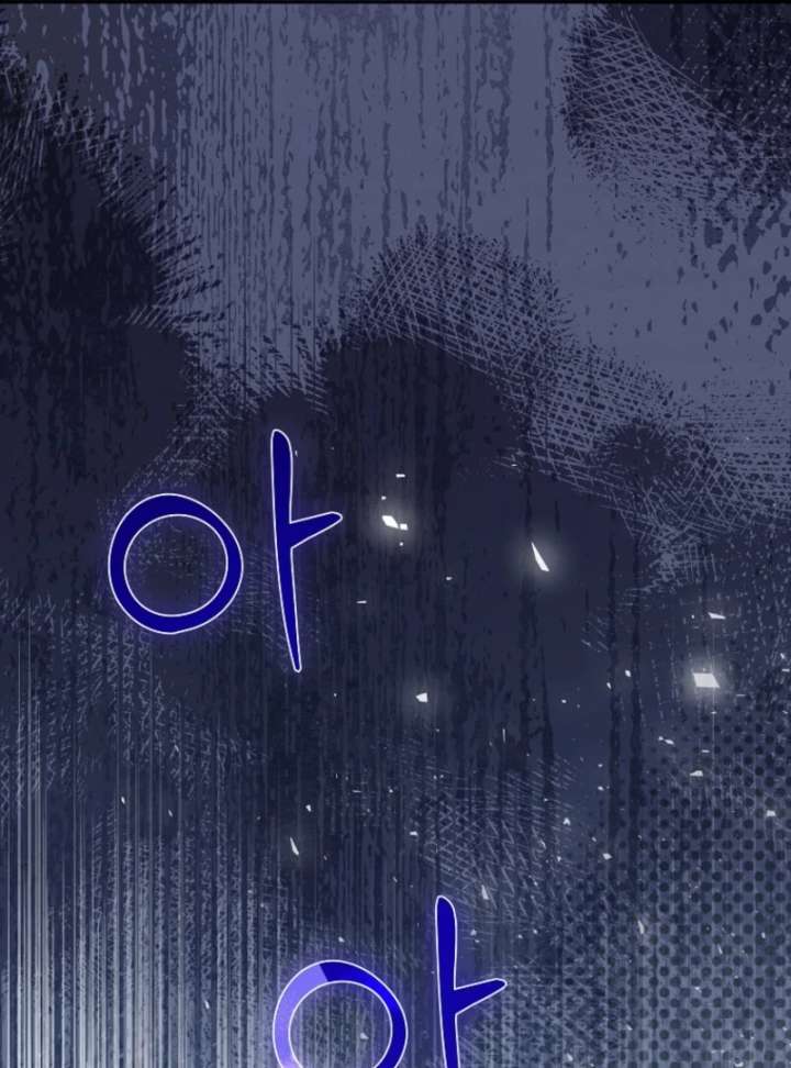 Cavier Falcon Princess Chapter 139 - Page 29